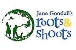 rooots and shoots